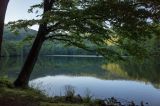 20140604-AJ012311.jpg